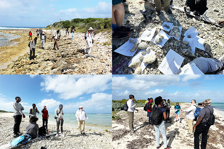 Geology expedition to North West Point, Providenciales