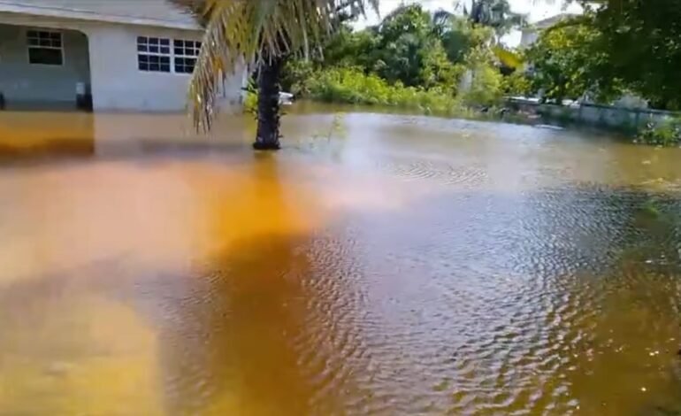 Public Works Department Issues Statement On North Caicos Flooding